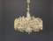 German Golden Gilded Brass and Crystal Sconce by Palwa, 1960s 4