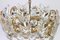 Small Gilt Brass and Crystal Glass Encrusted Chandelier by Palwa, Germany 1970s 3