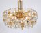 Gilt Brass and Crystal Chandelier by Sciolari for Palwa, Germany, 1970s 7