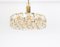 Gilt Brass and Crystal Chandelier by Sciolari for Palwa, Germany, 1970s 5