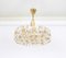 Gilt Brass and Crystal Chandelier by Sciolari for Palwa, Germany, 1970s 3