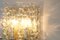 Große Murano Glas Wandlampen von Doria, Deutschland, 1960er, 2er Set 6