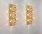 Crystal Glass Wall Sconces by Gaetano Sciolari for Peill & Putzler, Set of 2 3