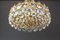 Gilt Brass and Crystal Glass Encrusted Chandelier from Palwa, Germany, 1970s 5