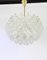 Large Tulip Glass Chandelier from Kalmar, Austria, 1960s, Image 15