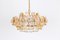 Gilt Brass and Crystal Chandelier by Sciolari for Palwa, Germany, 1970s 2