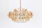 Gilt Brass and Crystal Chandelier by Sciolari for Palwa, Germany, 1970s, Image 2