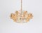 Gilt Brass and Crystal Chandelier by Sciolari for Palwa, Germany, 1970s, Image 6