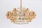 Gilt Brass and Crystal Chandelier by Sciolari for Palwa, Germany, 1970s, Image 3