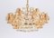 Gilt Brass and Crystal Chandelier by Sciolari for Palwa, Germany, 1970s 7