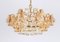 Gilt Brass and Crystal Chandelier by Sciolari for Palwa, Germany, 1970s, Image 7