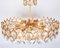 Large Gilt Brass and Crystal Chandelier by Gaetano Sciolari for Palwa, Germany, 1970s 10