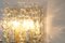 Large German Murano Glass Wall Sconces from Doria, 1960s, Set of 2, Image 6