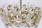 Petite German Gilt Brass and Crystal Glass Encrusted Chandelier from Palwa, 1970s 3