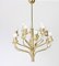 Mid-Century Brass Chandelier from Staff in the Style of Sciolari, 1970s 4