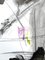 Adrienn Krahl, Resonancia oscilante, 2021, acrílico, tinta y lápiz de colores sobre papel de polipropileno, Imagen 6