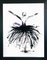 Marcela Zemanova, Black Swan, 2021, Ink on Paper, Framed 1