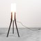 Vintage Scandinavian Floor Lamp, 1950s 2