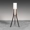 Vintage Scandinavian Floor Lamp, 1950s, Image 1