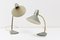 Grey Desk Lamp by H. Busquet for Hala Zeist, 1960s 5