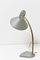 Lámpara de escritorio gris de H. Busquet para Hala Zeist, años 60, Imagen 4