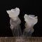 Lampada da tavolo Jellyfish di Marzio Rusconi Clerici per Fragile Edizioni, Immagine 1