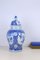 Porcelain Hand Painted Blue White Vase with Lid 8
