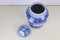 Porcelain Hand Painted Blue White Vase with Lid, Image 9