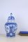 Porcelain Hand Painted Blue White Vase with Lid 6