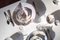 Bols Ovum Nº8 en Porcelaine Artisanale avec Bordure Dorée 24 Carats par Sarah-Linda Forrer, Set de 2 6