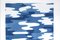 Tipo de cian, reflejos de camuflaje en tonos azules, 2021, impresión Monotype Cyanotype, Imagen 4