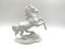 German Porcelain Figurine Horse by F. Heidenreich for Rosenthal, 1944 10