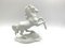 German Porcelain Figurine Horse by F. Heidenreich for Rosenthal, 1944, Image 10