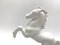 German Porcelain Figurine Horse by F. Heidenreich for Rosenthal, 1944, Image 3