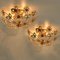 Gold-Plated Flower Wall Light or Flushmount from Palwa 5
