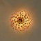 Lampada da parete a forma di fiore placcata in oro di Palwa, anni '70, Immagine 12