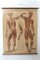 Schwedischer Vintage Anatomischer Medizinischer Wandbehang 1