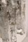 Applique da parete di Kalmar, Austria, anni '60, set di 2, Immagine 5