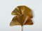 Gingko Lamp by Tommaso Barbi 2