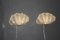Shell-Shaped Sconces in Gold Murano Glass by Barovier & Toso for Mazzega, Set of 2, Image 1