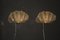 Applique a forma di conchiglia in vetro di Murano dorato di Barovier & Toso per Mazzega, set di 2, Immagine 7