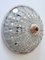 Large Mid-Century Modern German Crystal Glass Flush Mount or Sconce, 1950s, Image 7