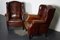 Club chair vintage in pelle color cognac, Paesi Bassi, set di 2, Immagine 13