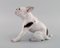 Porcelain Figure of French Bulldog by Dahl Jensen for Bing & Grondahl, 1930s 3