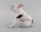 Porcelain Figure of French Bulldog by Dahl Jensen for Bing & Grondahl, 1930s, Image 3