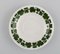 Grüne Ivy Vine Leaf Porzellan Kaffeetassen mit Untertassen von Meissen, 12er Set 5