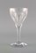 Belgian Crystal Glass White Wine Glasses by Legagneux for Val St. Lambert, Set of 8, Image 3
