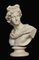 Buste d'Apollon en Parianware 3