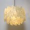 Mid-Century Modern Frosted Glass Acrylic Glass Chandelier by J.T. Kalmar 7