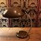 Lampe de Bureau Pivotante 11